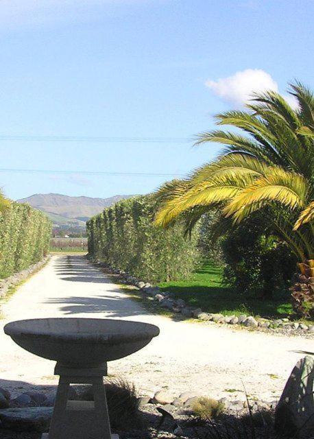 Antria Boutique Lodge Blenheim Buitenkant foto